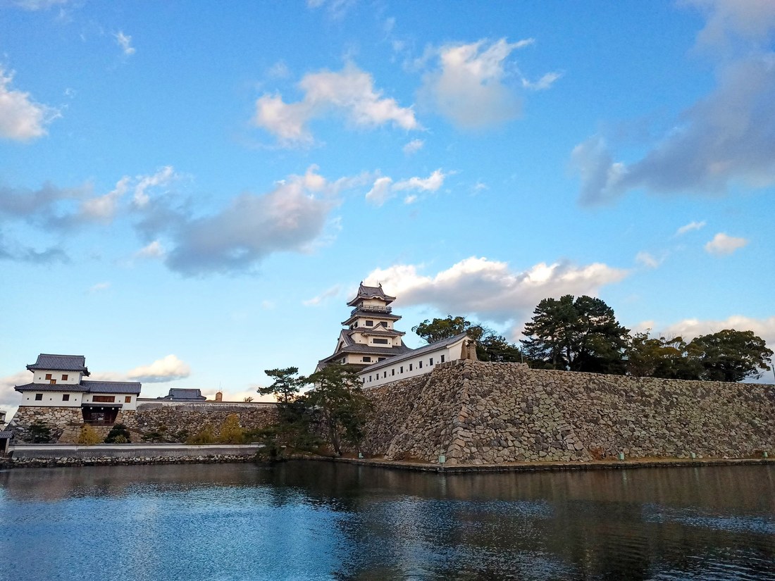 鯛もいる今治城のお堀