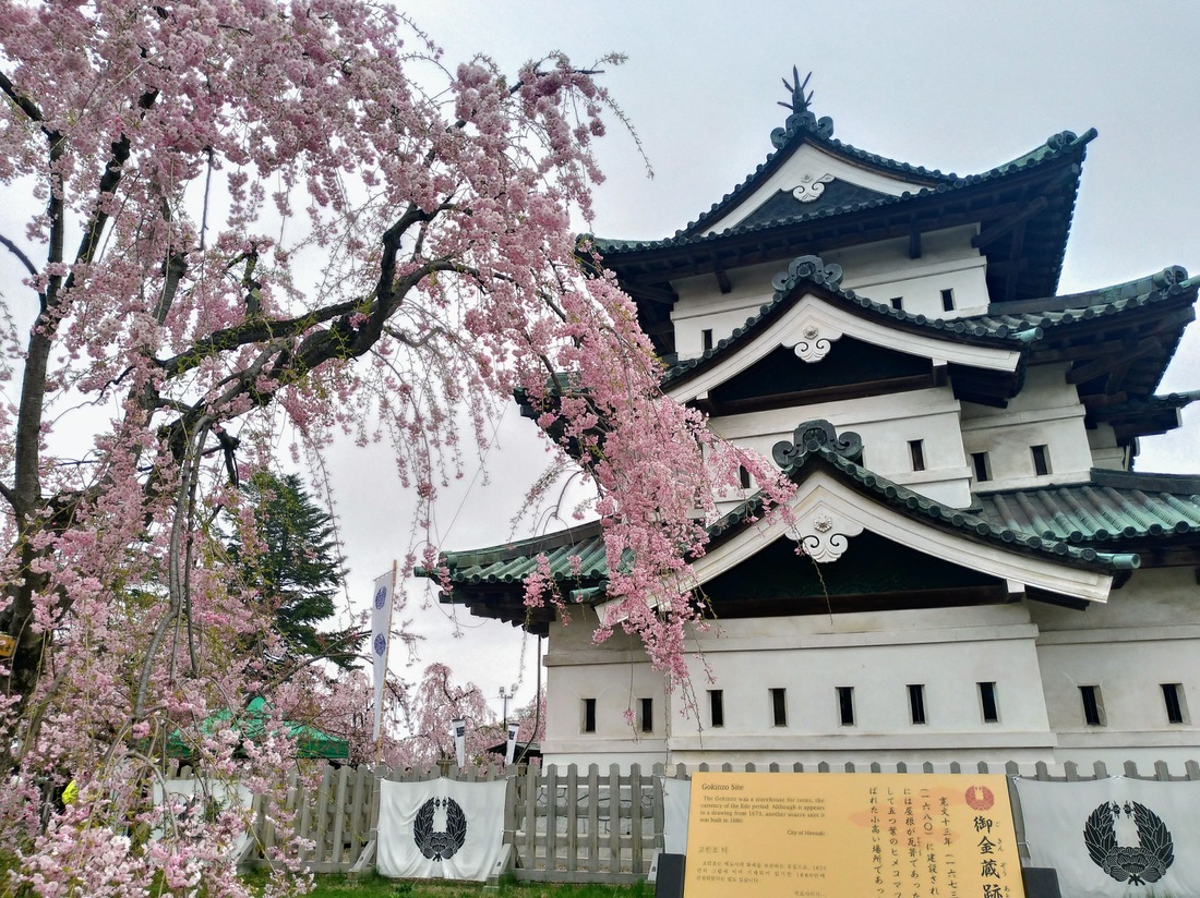 弘前城の天守と桜
