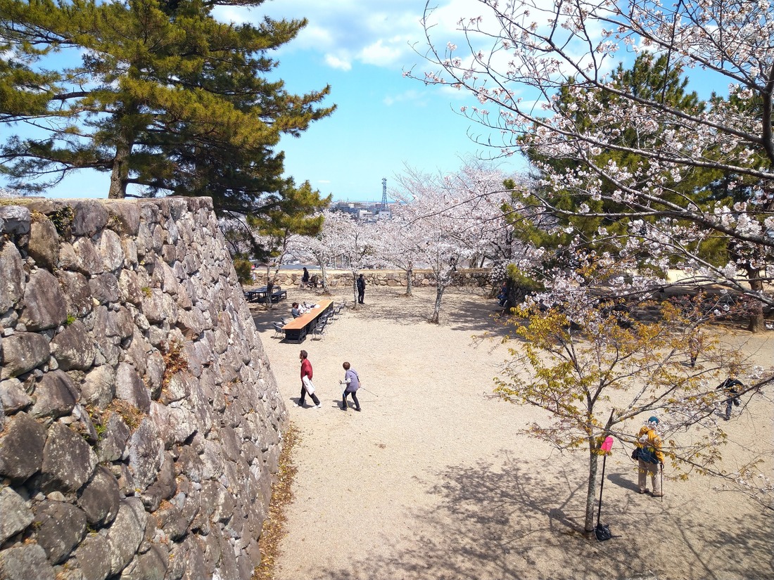 城址公園として親しまれている松坂城