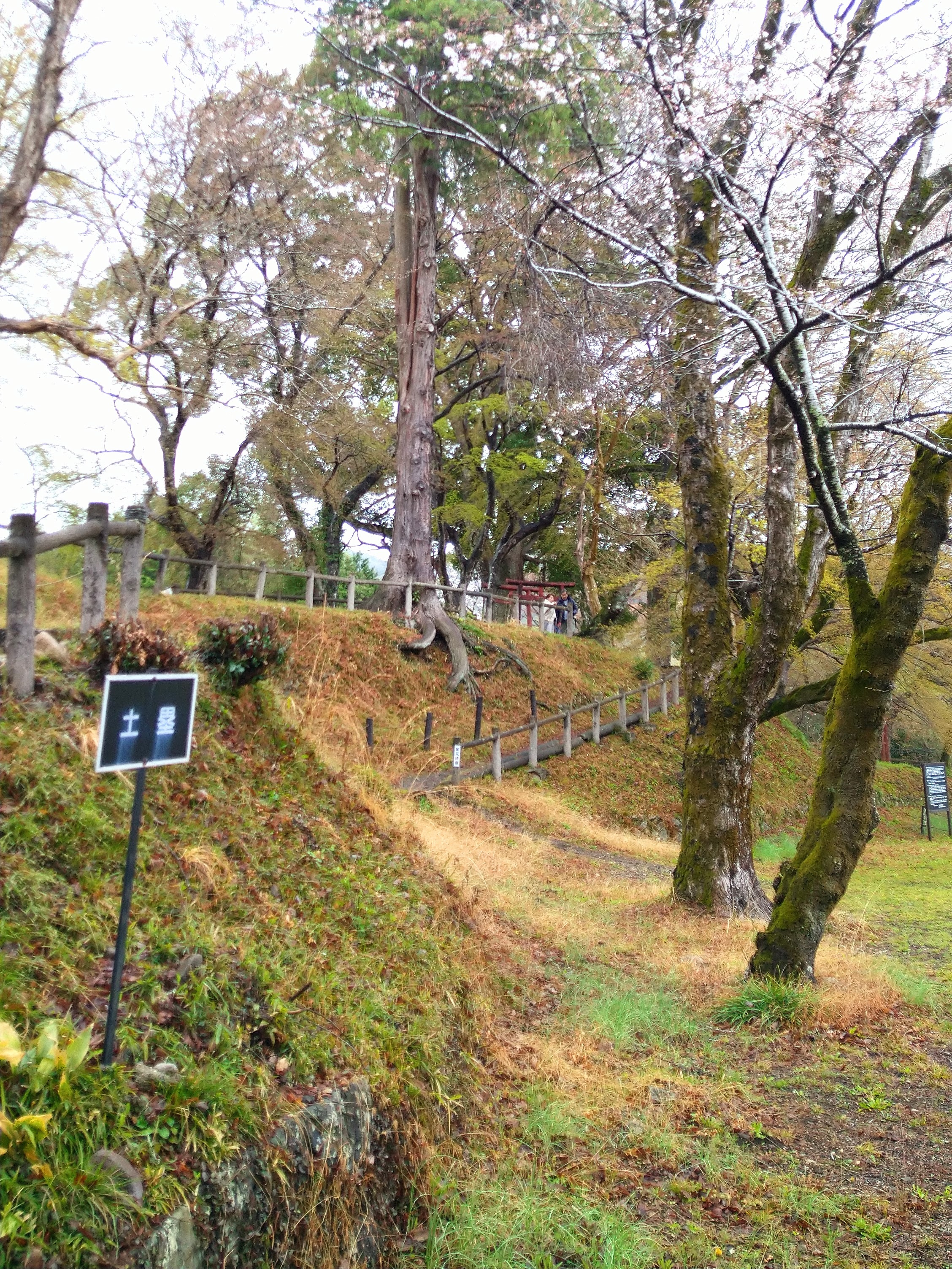 長篠城跡の土塁