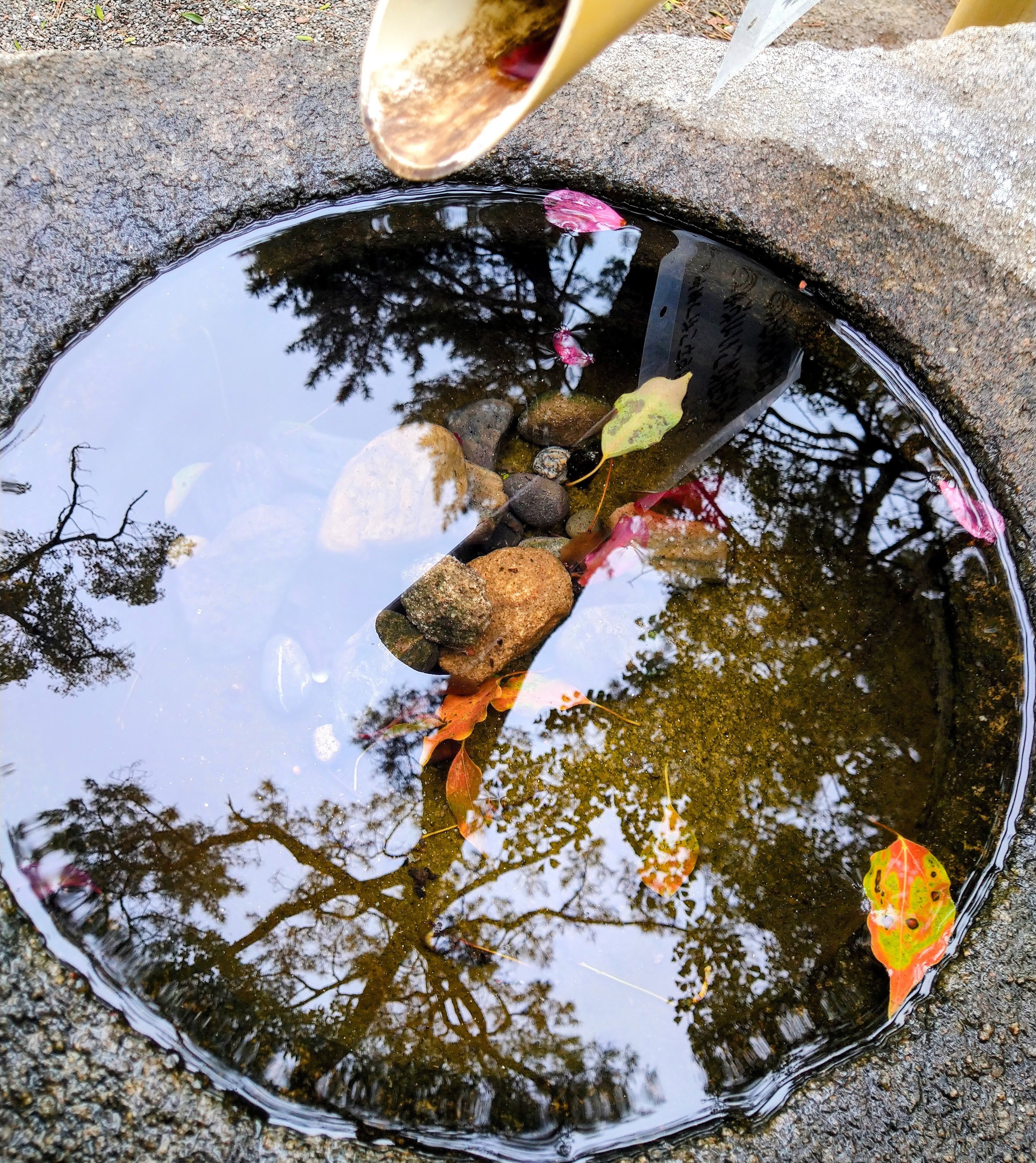 岡崎城の家康公産湯の井戸